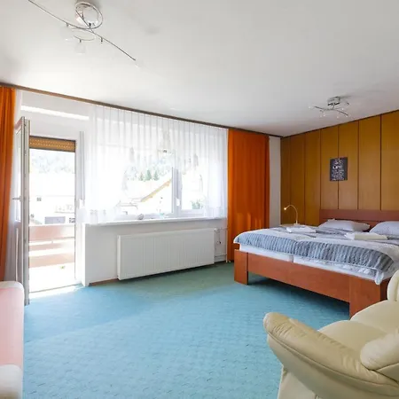 And Banic 3* Kranjska Gora