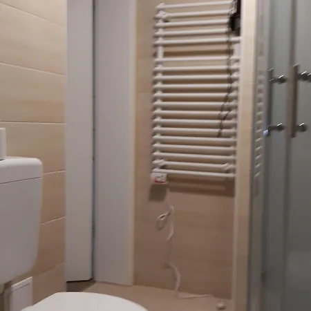 And Banic 3* Kranjska Gora