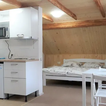 Casa de hóspedes And Banic 3*