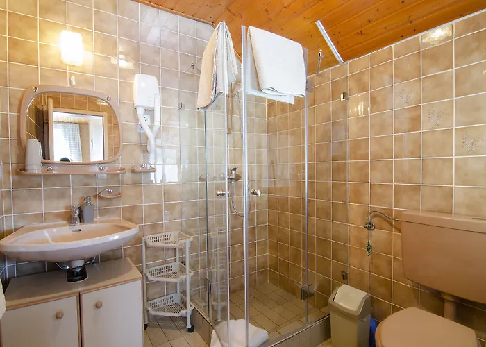 And Banic 3* Kranjska Gora